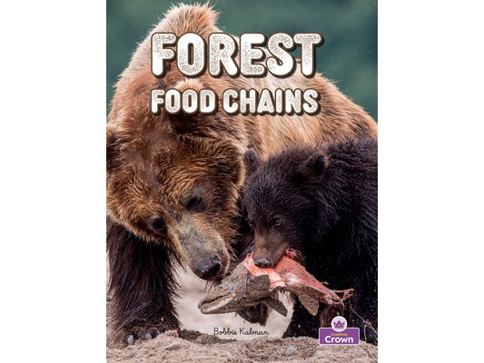 Forest Food Chains