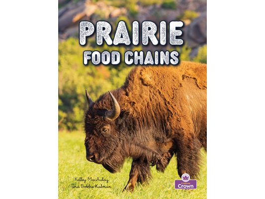 Prairie Food Chains