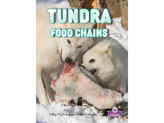 Tundra Food Chains
