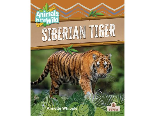 Siberian Tiger