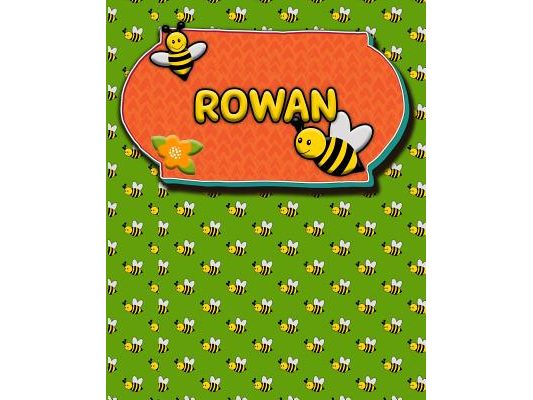 Handwriting Practice 120 Page Honey Bee Book Rowan: Primary Grades Handwriting Book K-2
