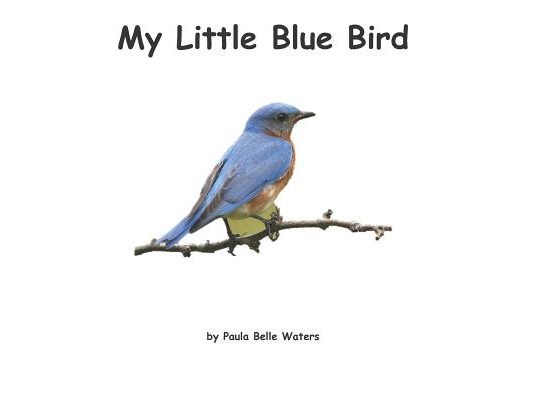 My Little Blue Bird