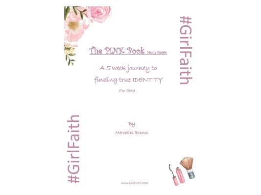 The PINK Book Study Guide: Updated 2019