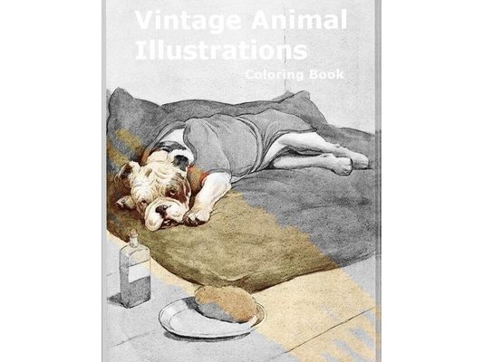 Vintage Animal Illustrations: Coloring Book for adults 8 Classic Scientific Drawings of Animals Libro da colorare per adulti 8 classiche illustrazio