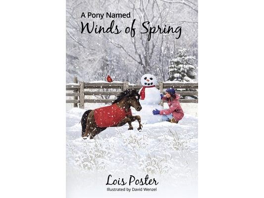 A Pony Named Winds of Spring