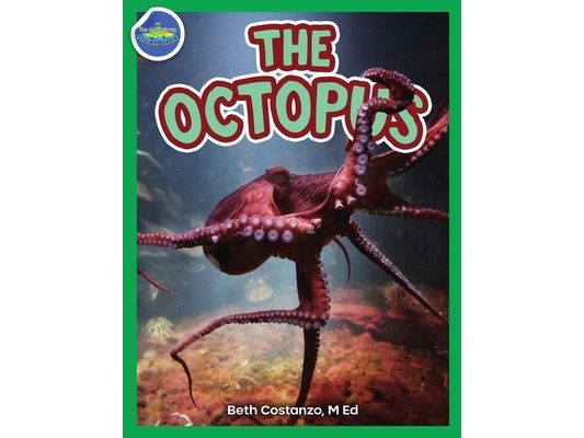 The Octopus ages 2-4