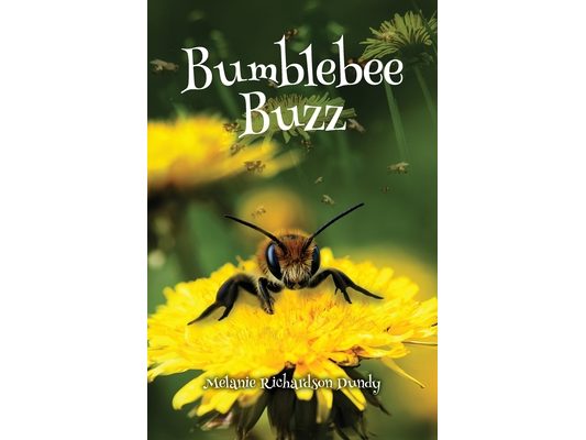 Bumblebee Buzz