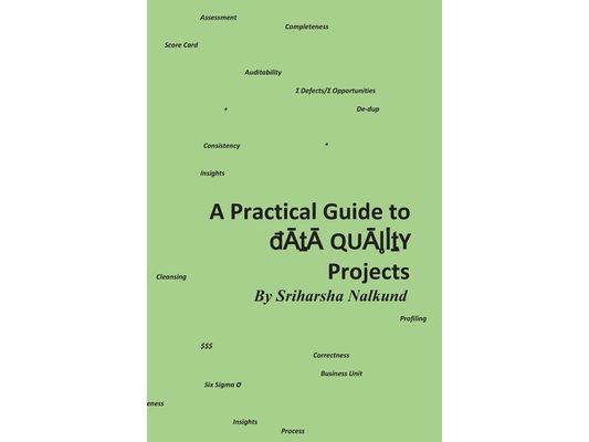 A Practical Guide to Data Quality Projects: Assessment & Recommendation