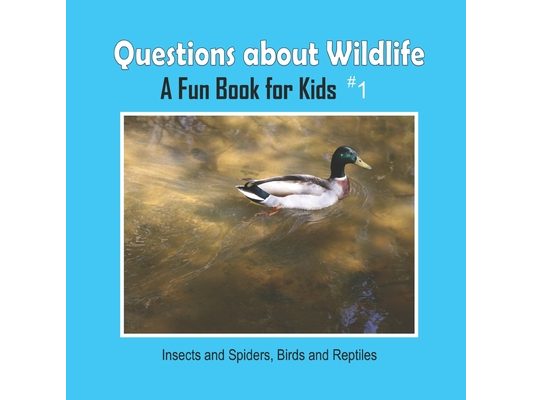 Questions about Wildlife: Insects and Spiders, Birds and Reptiles
