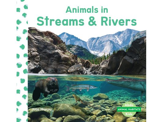 Animals in Streams & Rivers