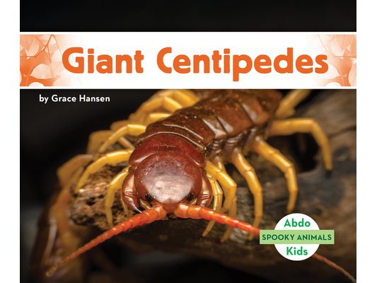 Giant Centipedes