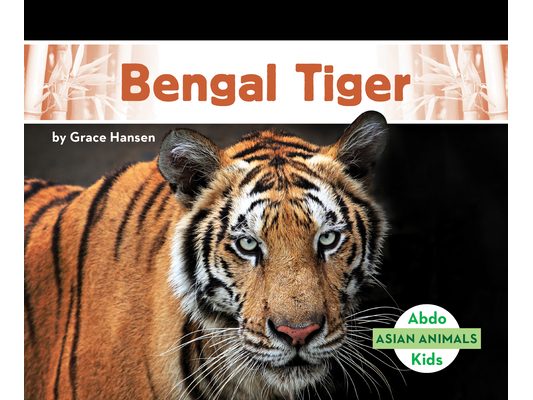 Bengal Tiger