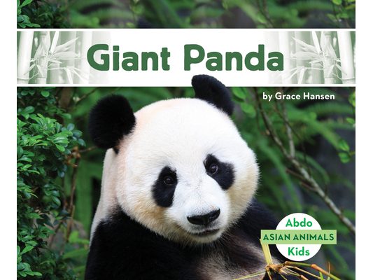 Giant Panda