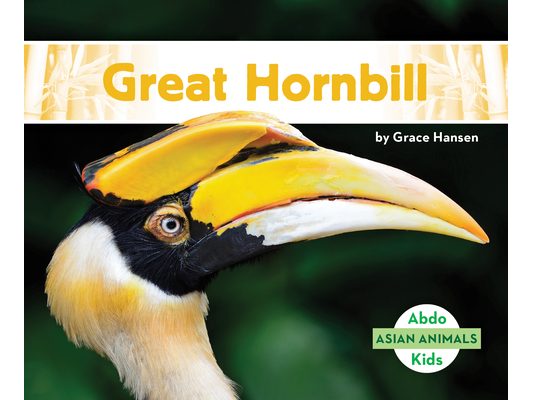 Great Hornbill