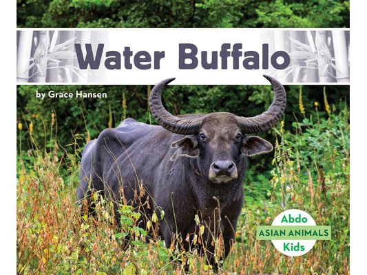 Water Buffalo