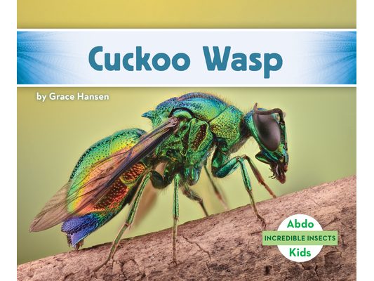 Cuckoo Wasp