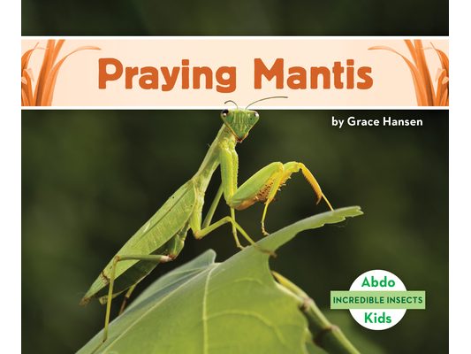 Praying Mantis