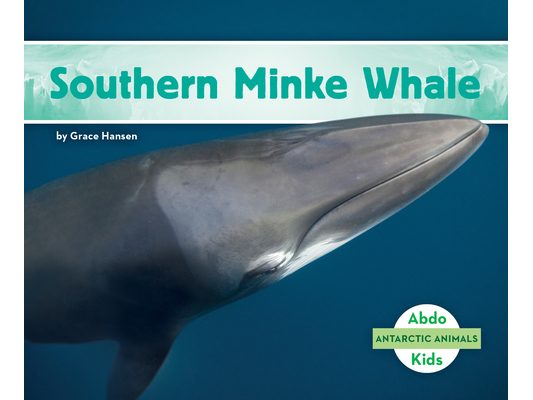 Southern Minke Whale