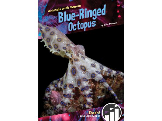 Blue-Ringed Octopus