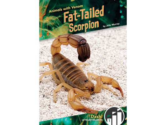 Fat-Tailed Scorpion