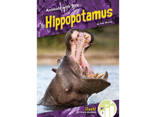 Hippopotamus