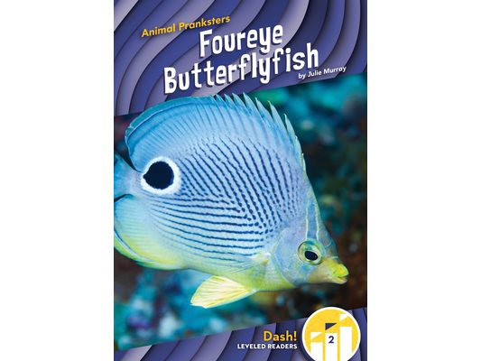 Foureye Butterflyfish