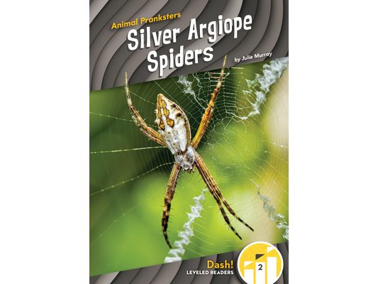 Silver Argiope Spiders