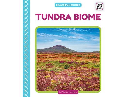 Tundra Biome