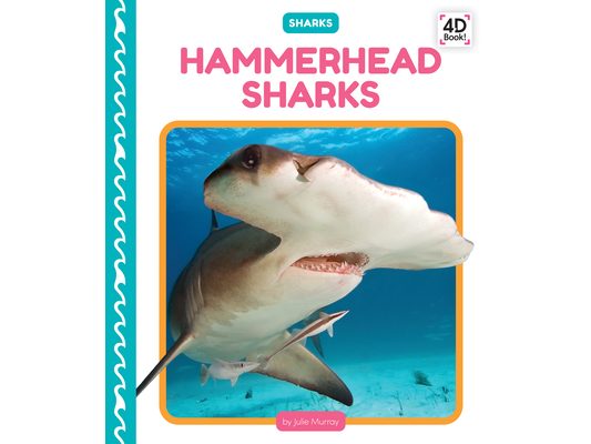 Hammerhead Sharks