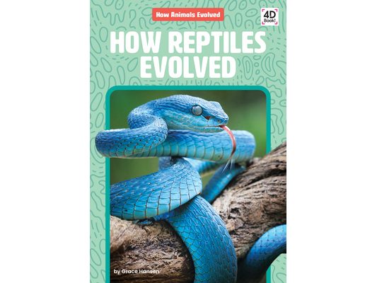 How Reptiles Evolved
