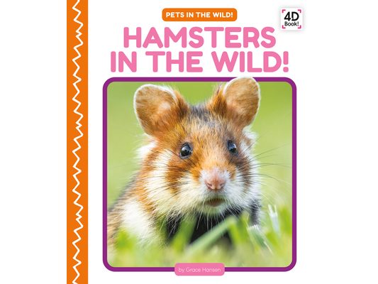 Hamsters in the Wild!