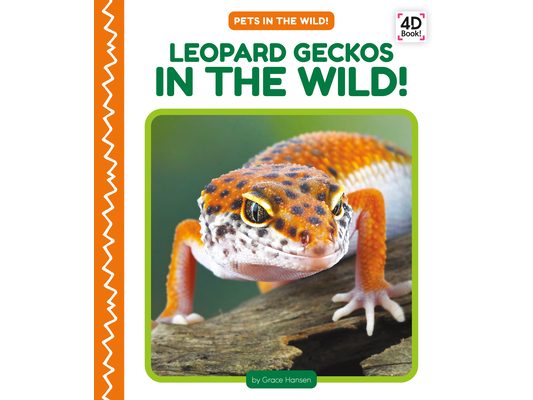 Leopard Geckos in the Wild!