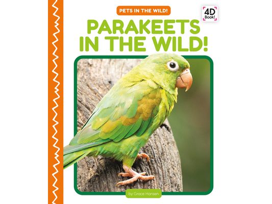 Parakeets in the Wild!