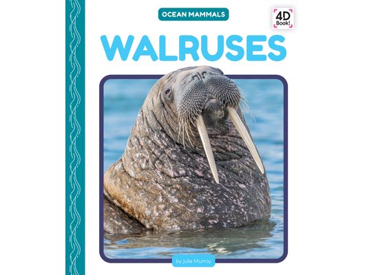 Walruses