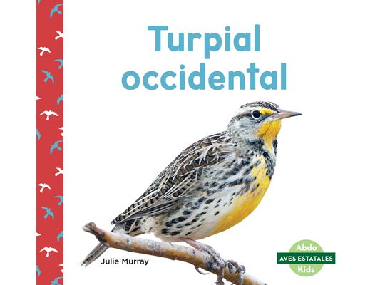 Turpial Occidental (Western Meadowlarks)
