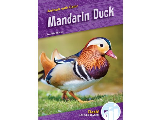 Mandarin Duck