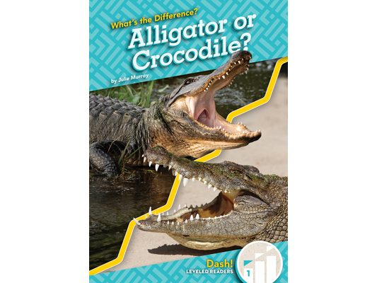 Alligator or Crocodile?