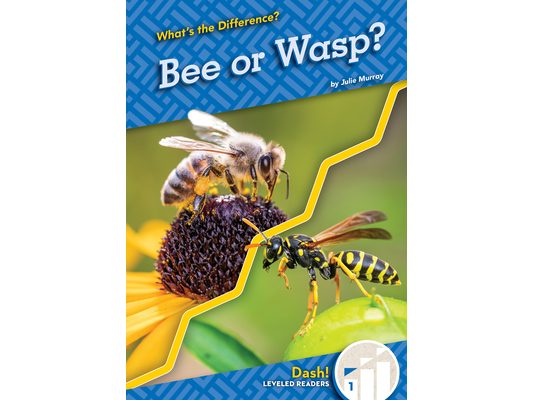 Bee or Wasp?