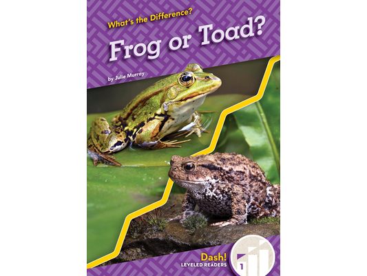 Frog or Toad?