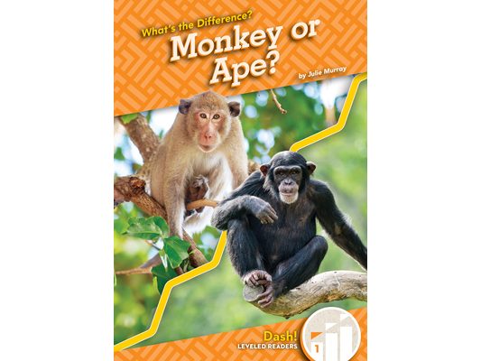 Monkey or Ape?