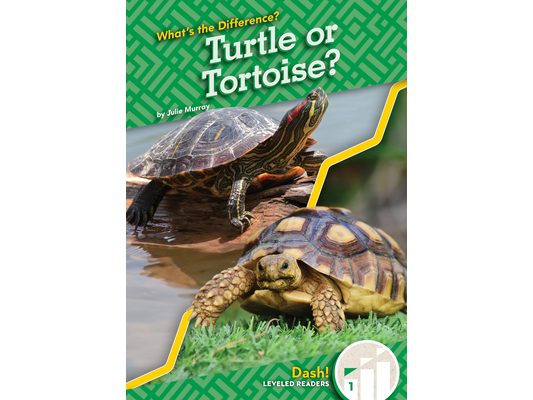 Turtle or Tortoise?