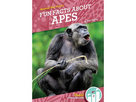 Fun Facts about Apes