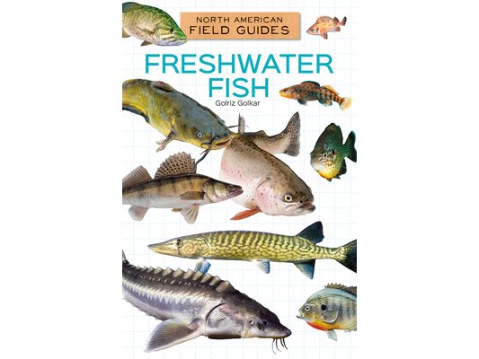 Freshwater Fish