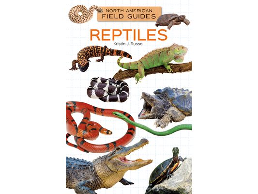 Reptiles