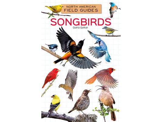 Songbirds