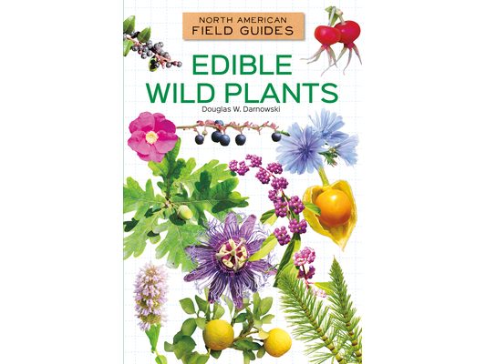 Edible Wild Plants