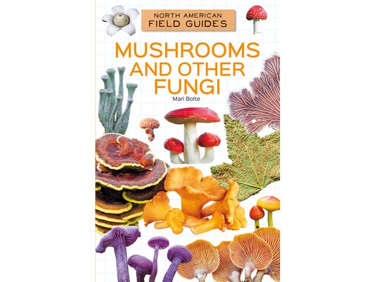 Mushrooms and Other Fungi