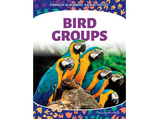 Bird Groups