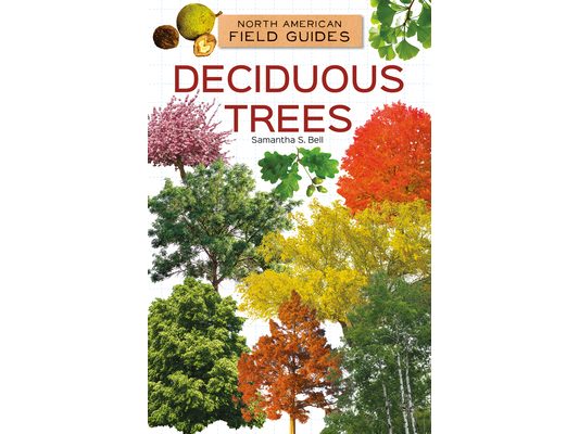 Deciduous Trees