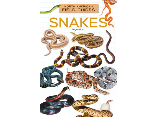 Snakes